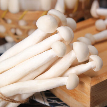 【京鲜达】海鲜菇食用菌菇蟹味菇煲汤农家蔬菜 新鲜海鲜菇1斤装(500g)