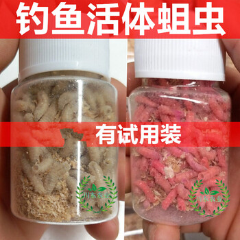 钓鱼活蛆肉蛆大蛆红色蛆虫活体白蛆活饵活虫蛆牙子瓶装昆虫鱼饵红蛆5小瓶 80条 瓶 图片价格品牌报价 京东