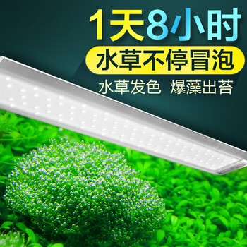 疯狂石头鱼缸led灯防水全光谱三基色增艳水草灯照明灯堪比尼特利水草灯全光谱led水草灯v10 带无极调光 定时功能 图片价格品牌报价 京东