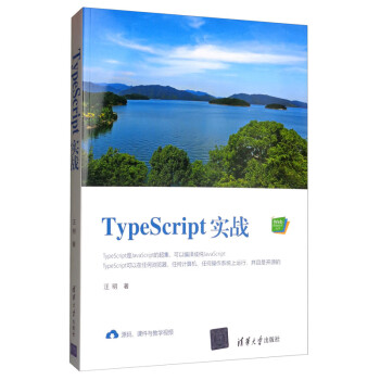 TypeScript实战（Web前端技术丛书）