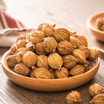 川砂仁500g香砂沙仁金砂仁四川特产卤肉炖肉卤菜调料香料大全