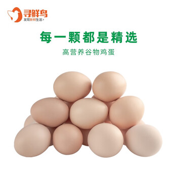 稳定价格的寻鲜鸟蛋类产品