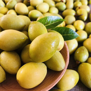 春光岛新鲜潮汕香种黄橄榄   金黄外表 脆爽适口  回甘持久 泡酒煲汤