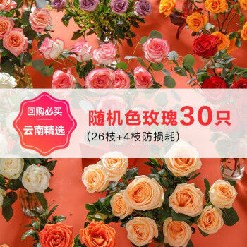 2023年9月17日更新【万能白菜价】的图片 第40张