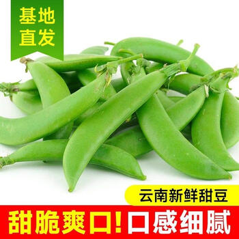 生果乐云南露天甜豆甜蜜豆带壳吃甜脆豌豆新鲜当季蔬菜 现摘现发5斤