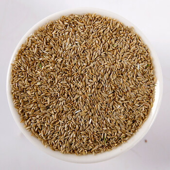 清荷蝴蝶 原装进口狗牙根种子带壳型 狗牙根原种带壳狗牙根草坪种子狗