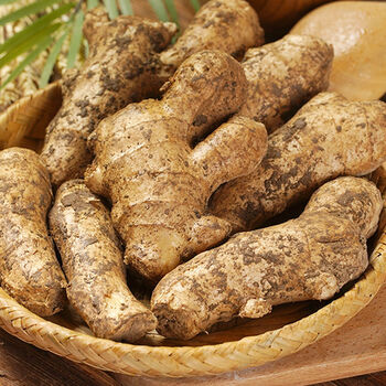 格沃斯(gewosi)山东现挖新鲜大姜老姜大生姜月子姜老姜母调味品生鲜 5