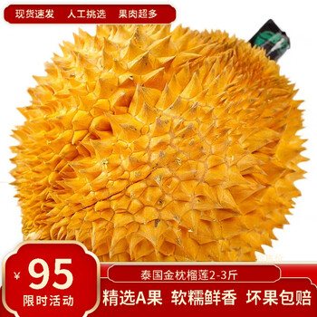 晨木鲜生泰国进口金枕头榴莲水果 新鲜鲜果带壳金枕榴莲保鲜整个榴莲 金枕榴莲2-3斤（单果）