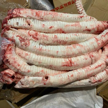 现宰新鲜牛气管精修去油牛肺管牛喉管牛软骨脆骨牛杂类新鲜现取五斤牛