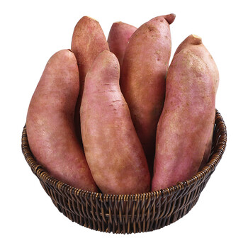 沙地红薯蜜薯黄心龙九红薯蜜薯龙九地瓜烤红薯红皮新鲜整箱5斤中果25