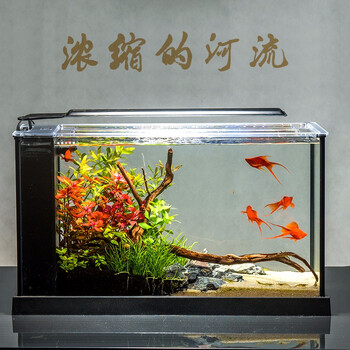 阿诺比桌面免换水鱼缸客厅小型生态水草缸家用超白热带鱼金鱼水族箱a 368黑色标配 52 19 30cm 图片价格品牌报价 京东