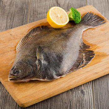 深海鲽鱼整条特大新鲜比目鱼大偏口鱼多宝鱼碟鱼批发宝宝辅食禧客鲜