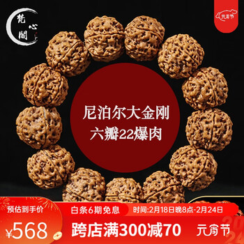 梵心阁 尼泊尔大金刚菩提手串原生态蜂窝双龙纹文玩五本命龙年新年礼物 【把玩级】六瓣爆肉2.2