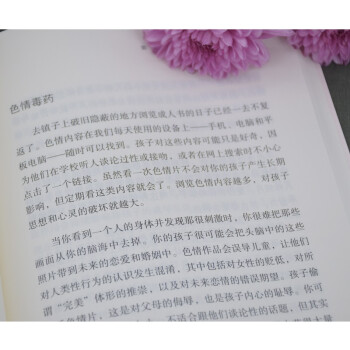 屏幕时代的养育  数字时代的父母指导手册预防孩子陷入网瘾、游戏成瘾、无手机焦虑症