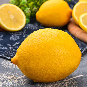 鑫佳叶四川安岳尤力克黄柠檬新鲜水果鲜果产地直发 12颗装 单果80-100克
