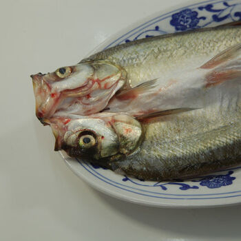 苏州三白特产白鱼活鱼现杀开背白丝鱼清蒸白鱼翘嘴大白刁350400克左右