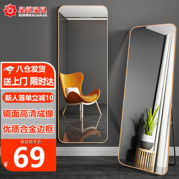 星恺（XINGKAI）穿衣镜落地镜全身镜试衣镜壁挂镜铝合金窄框镜子JY53金色150*40