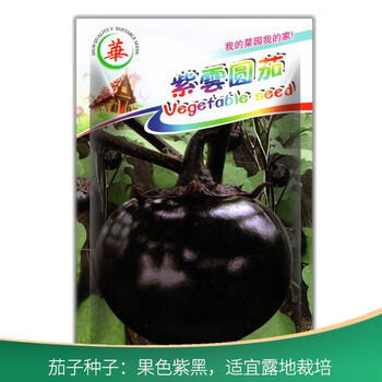 黑圆茄种子早熟高产黑硕茄子种子绿罐茄杂交绿茄种子绿把牛心茄绿杂茄子白茄子种籽白云鸡蛋茄种子紫雲圆茄100粒 图片价格品牌报价 京东 黑圆茄种子早熟高产黑硕茄子种子绿罐茄杂交绿茄种子绿把牛心茄绿杂茄子白茄子种籽白云鸡蛋茄种子紫雲圆茄100粒 图片价格品牌报价 京东