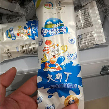 伊利牧场大布丁奶油口味雪糕蒙牛小布丁冰淇淋冰激凌批整箱冻品冷伊利