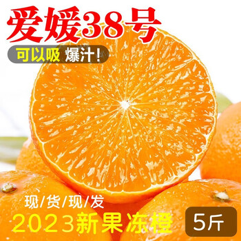 飘香果度【23年新果】爱媛38号果冻橙 新鲜橙子橘橙水果大果粒橙 5斤装中果【70-75mm】