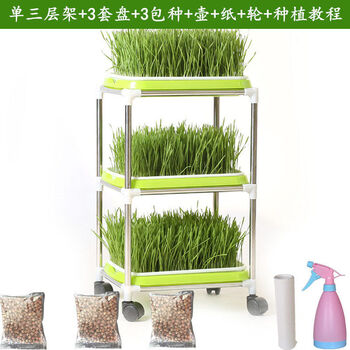 室内无土植物栽培架育苗盘阳台种菜盆塑料加密芽苗菜花架豆芽水培无土栽培育苗架子单排3层 3盘 3种 壶纸 款 图片价格品牌报价 京东