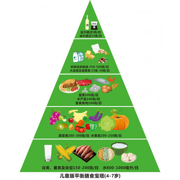 营养指导膳食宝塔模型仿真食物金字塔交换份模型大版一儿童版47岁模型
