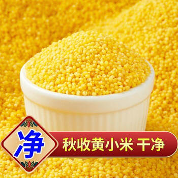 5斤1斤小米粥真空五谷杂粮米粗粮二等级小黄米米油黄小米5斤米粥粘稠