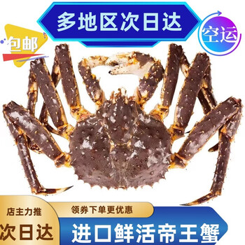 李享食丰【鲜活空运】鲜活帝X蟹生鲜帝X蟹超大帝皇蟹帝X蟹鲜活 活冻蟹6-6.5斤/整只