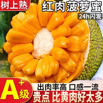 夏日独特水果推荐:绝对爆款!价格超走势