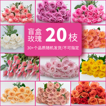 简势（jianshi）品质鲜花玫瑰花康乃馨百合向日花束云南昆明基地直发 【玫瑰盲盒】-20支