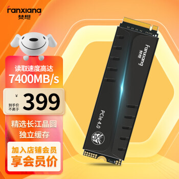 梵想（FANXIANG）1TB SSD固态硬盘 M.2接口PCIe 4.0 x4长江存储晶圆 国产颗粒 独立缓存 PS5台式机笔记本S770