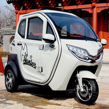 雷霆皇新款东威q3尾箱全封闭电动三轮车城市休闲电瓶车成人家用接送