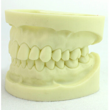 颐诺小齐牙3d打印牙模定制 长期保留牙齿模型可接扫描