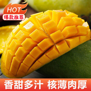庾丰 三亚芒果金煌芒 新鲜水果 整箱当季 大青热带芒果 水果 净重5斤 单果约200克+