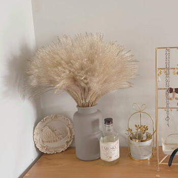 芦苇干花客厅摆设花落地芦苇北欧摆件干芦苇花芦苇干花花束花干树枝