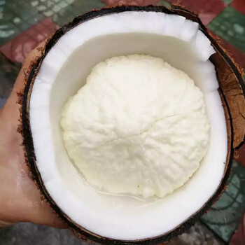 椰宝海南老椰子新鲜椰子水果椰肉饼4个装