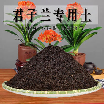 君子兰专用土君子兰营养土种植土养花土通用型种花泥土壤透气肥料