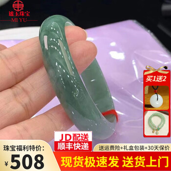 谧玉 玉手镯 冰糯种翡翠手镯油青色玉镯子处理平安镯送妈妈送老婆礼物 内径52-53mm(附鉴定证书)