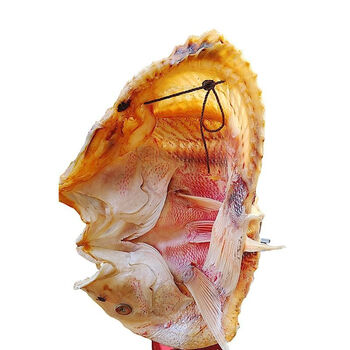 南美豹海南儋州大红鱼干詹州特产正宗原生态红鱼干货淡干海鲜礼品