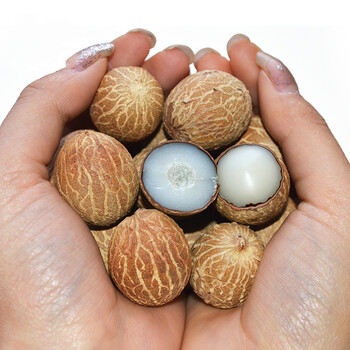 大厂菩提子原籽白玉菩提根手串手链diy佛珠项链原料按斤2426cm半斤20