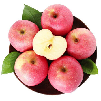 秦冠富士苹果粉面苹果精选果脆甜富士新鲜水果净重约5斤