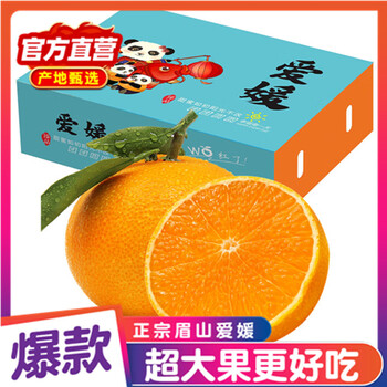 X-PLUS四川爱媛38号果冻橙 橘子 水果礼盒整箱 5斤特大果（7-9粒）净重4.5斤