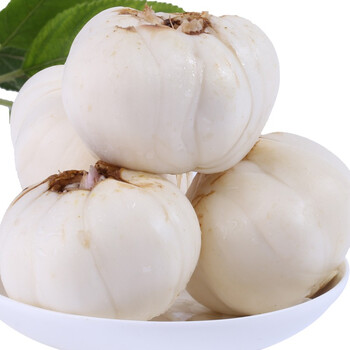 鲜百合兰州百合九年生现挖蔬菜新鲜真空生鲜甘肃特产一斤16个精品四头