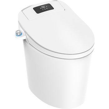 浪鲸EICO-511 EICO-511-T智能马桶到底值不值得选择？深入揭秘为你解说