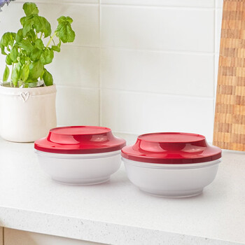 特百惠(tupperware)美食套碗冷藏保鲜盒保鲜碗带盖 750ml*2件套