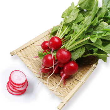 恬女神顺丰发货樱桃萝卜新鲜水萝卜青菜圆红萝卜新鲜农家蔬菜现摘水果