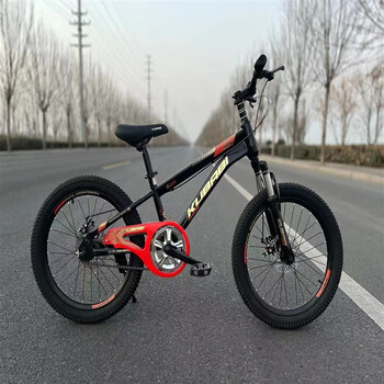 捷安特giant儿童自行车男孩学生女青少年单车山地车骑士黑双碟刹减震