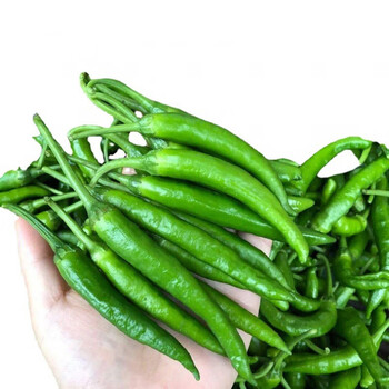 荟莹澜京鲜速运青辣椒尖椒本地辣椒湖南特产农家新鲜青辣椒3斤