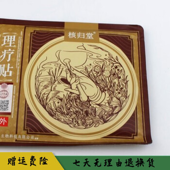 原装元氏核归堂理疗贴元氏笠元堂理疗贴元氏传承苙元堂理疗贴2袋10贴