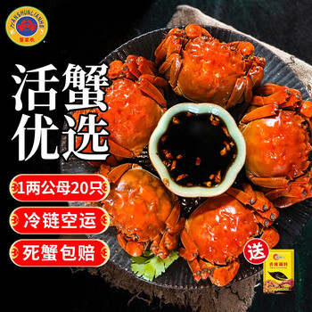 蟹家长-高质量的蟹类产品，让您感受海洋美食的魅力